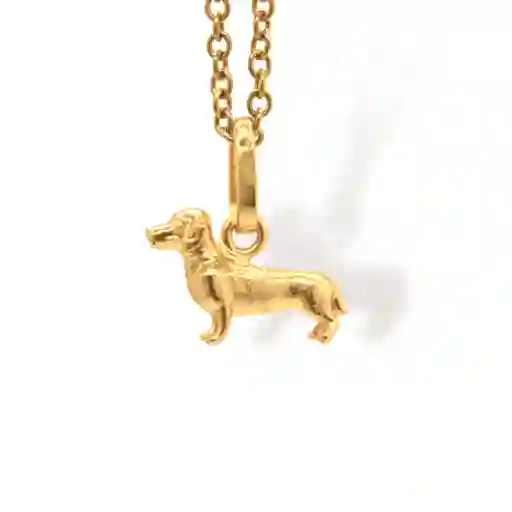 Cadena De Perro Salchicha Pequeño