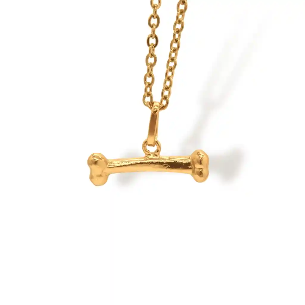 Cadena De Hueso