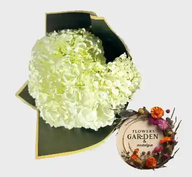 Hortensias En Bouquet Blanca Armonía