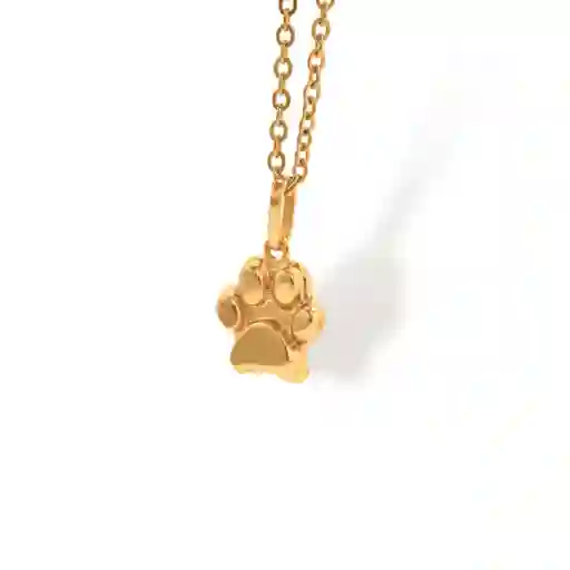 Cadena De Huella De Perro