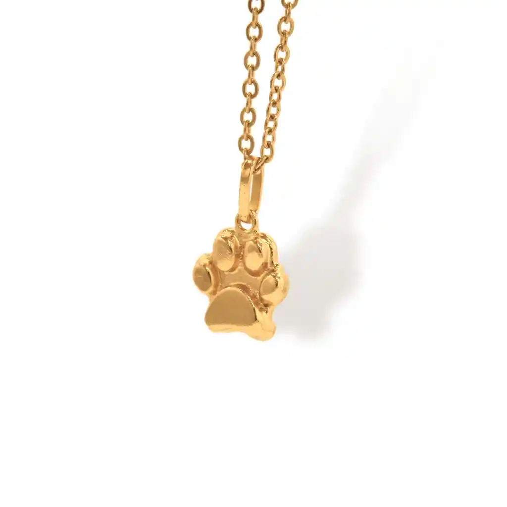 Cadena De Huella De Perro