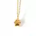 Cadena De Huella De Perro