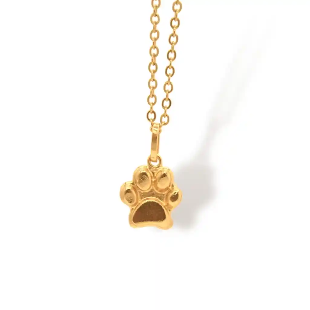 Cadena De Huella De Perro