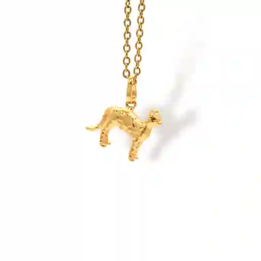 Cadena De Gato Con Manchas Cuerpo Completo
