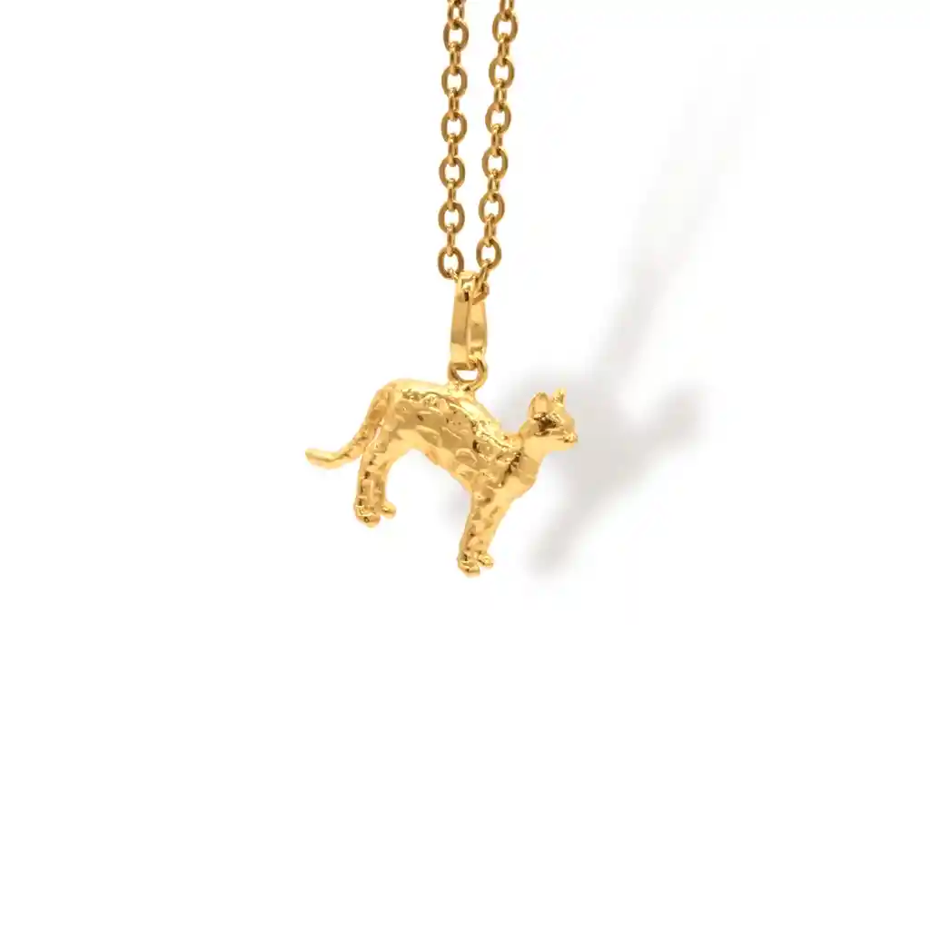 Cadena De Gato Con Manchas Cuerpo Completo