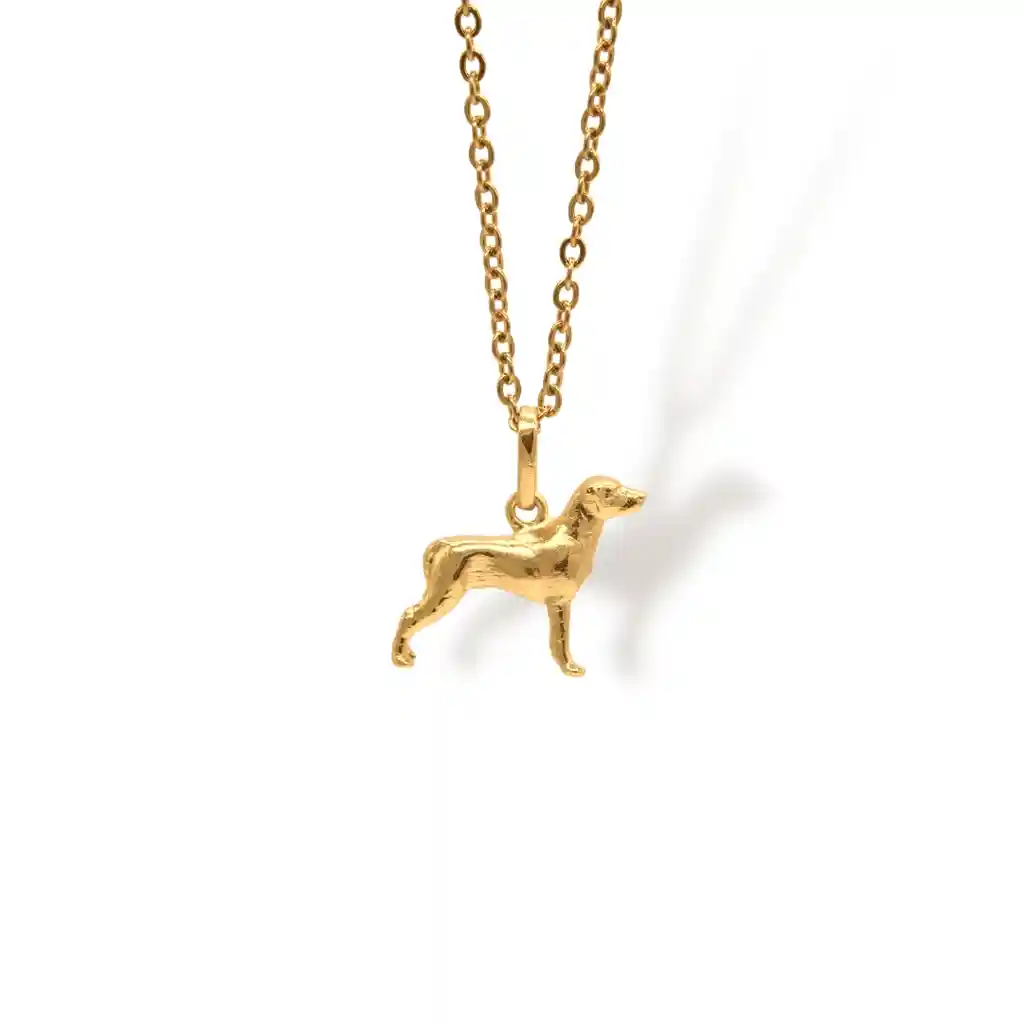 Cadena De Perro Cuerpo Completo