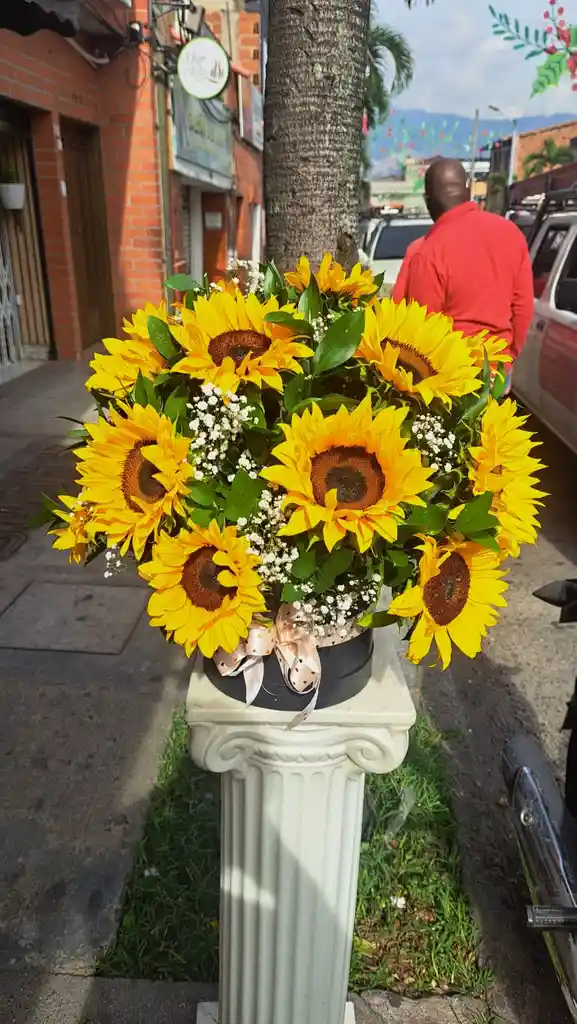 Cilindro De Girasoles Premium
