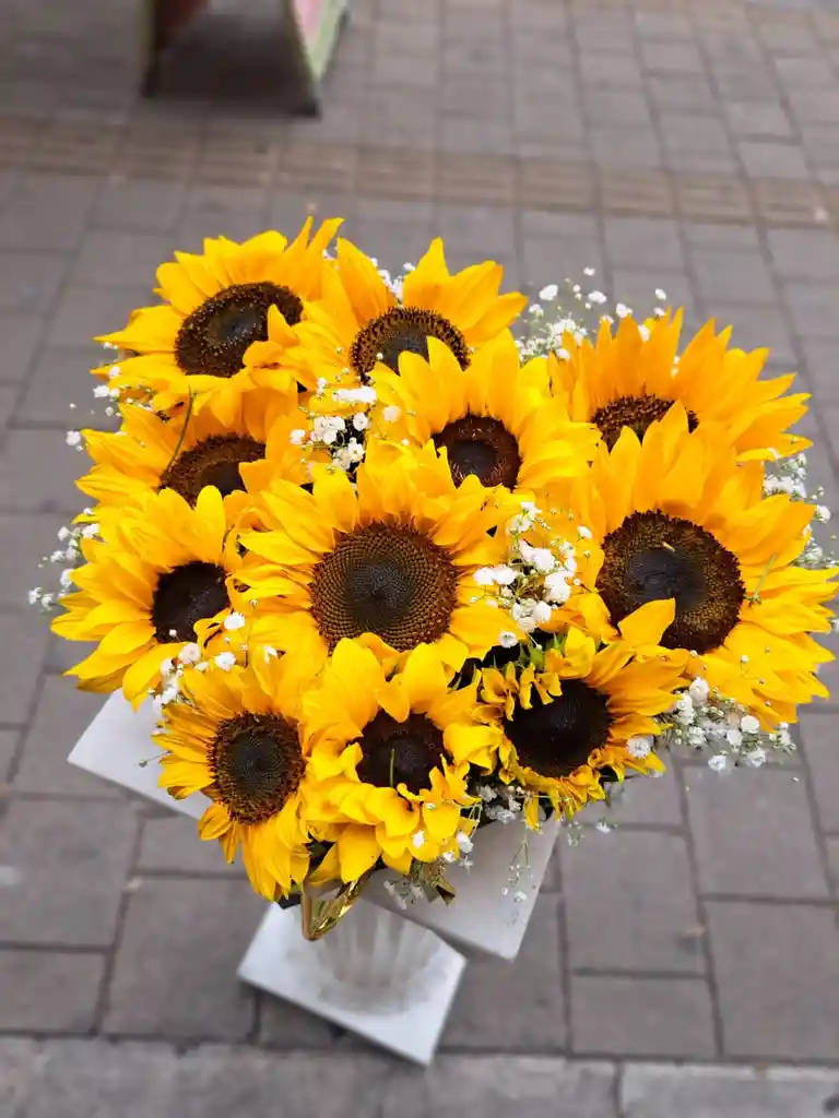 Corazón De Girasoles 2319