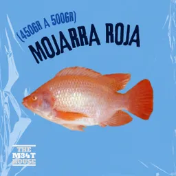 Mojarra Roja