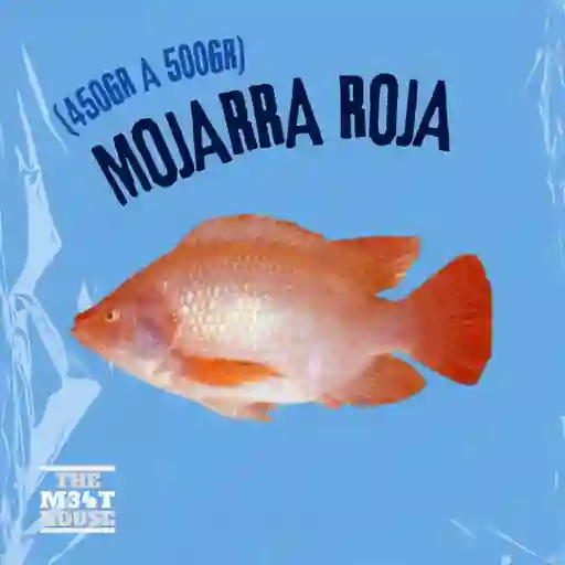 Mojarra Roja