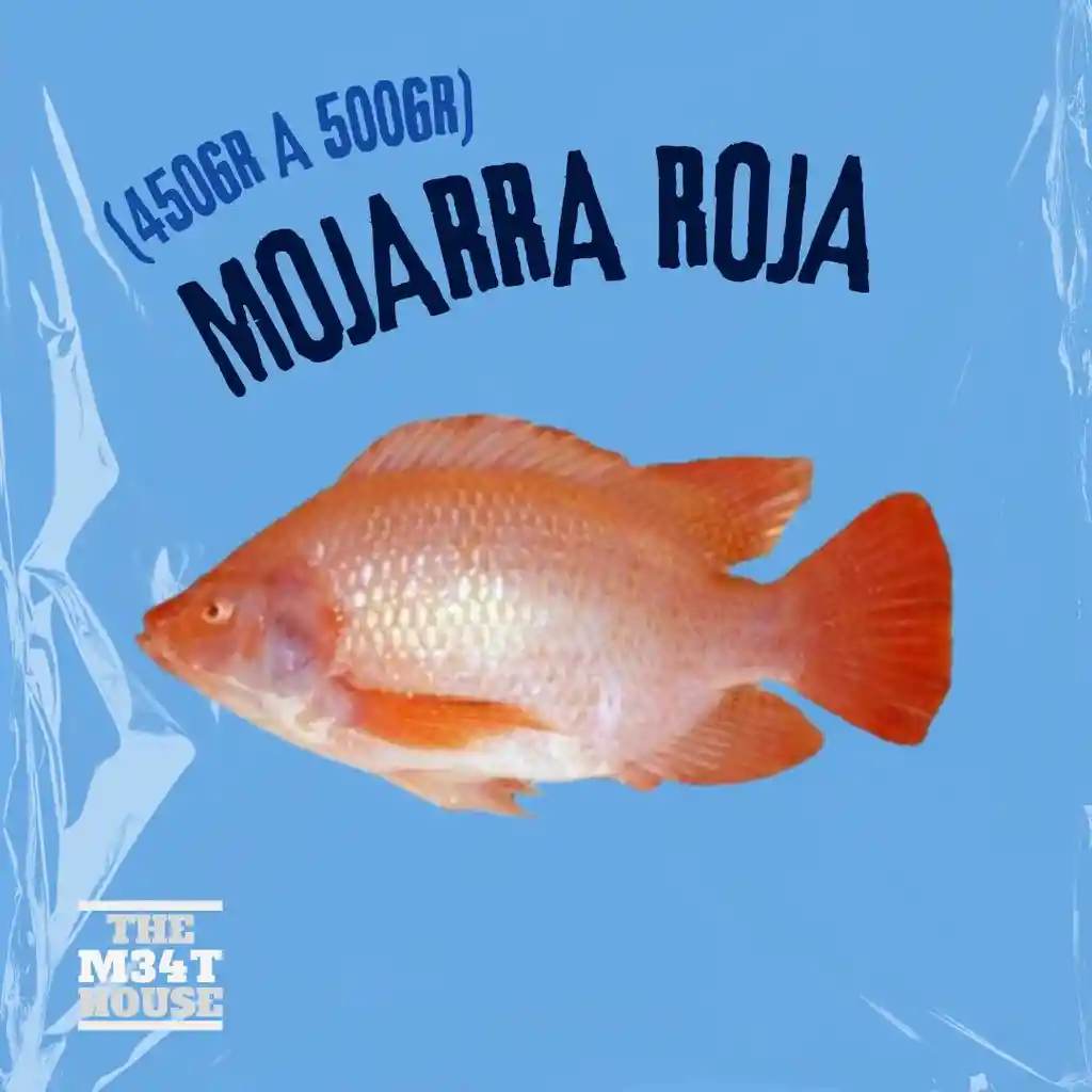 Mojarra Roja