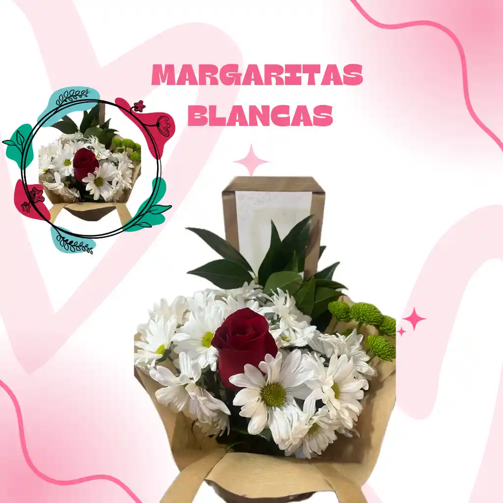 Floresmargaritas Blancas - Simplicidad Y Elegancia Natural