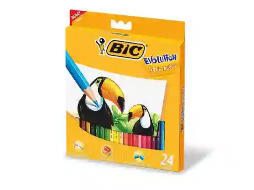 Lápices De Colores Bic Evolution X 24 Unidades