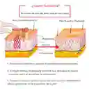 Portátil Alta Frecuencia Facial Belleza De Dispositivos Con 7 Electrodos