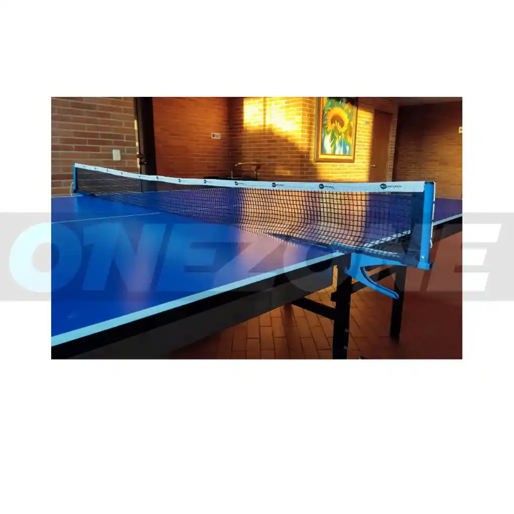 Set Profesional Tenis De Mesa (parales,malla) Mttp2