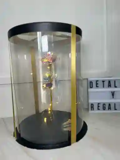 Rosa Eterna Con Luces En Caja De Acetato Negra