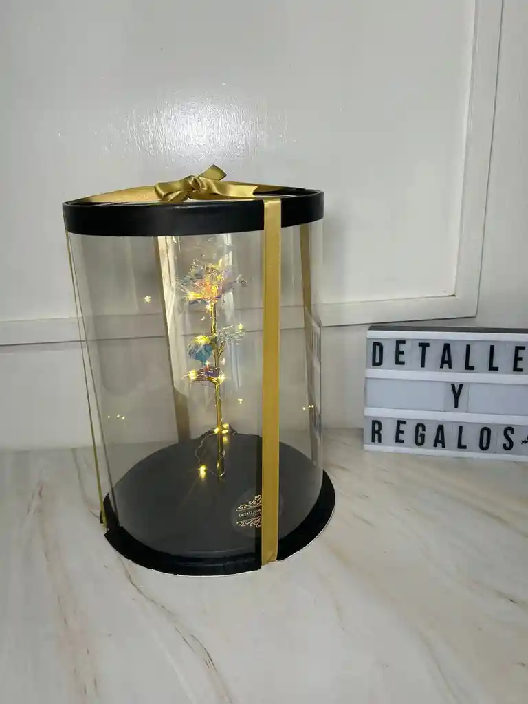 Rosa Eterna Con Luces En Caja De Acetato Negra