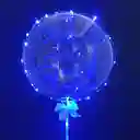 Globo Burbuja Luz Led