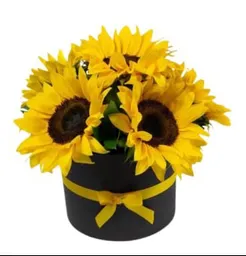 Caja Floral 6 Girasoles