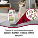 Destructor De Orina Gatos Y Perros Natures Miracle Eliminador De Orina Para Mascotas