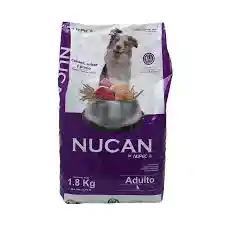 Nucan Adulto