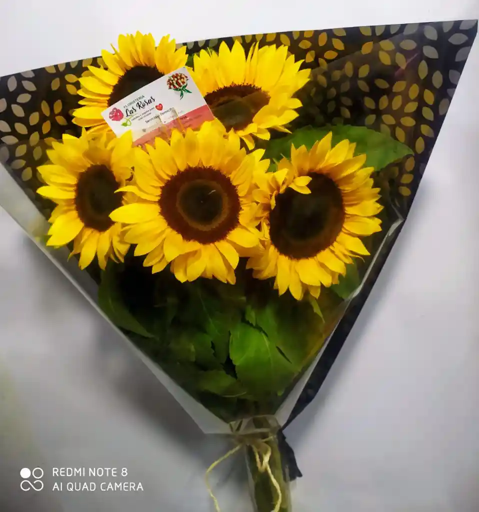 Girasoles Floral