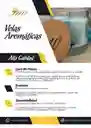 Vela Aromática De Coco/vainilla De Cera De Palma