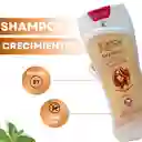 Shampoo Mujer Para Crecimiento Y Libre De Sal "karicia"