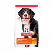 Hills Canine Adulto Large Breed X 15 Libras