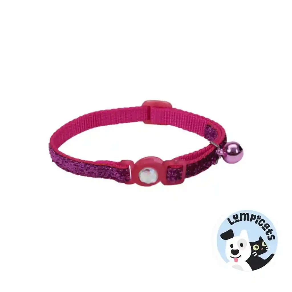 Coastal Collar Gato Brillante Fucsia