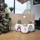 Pesebre De Vida Para Regalar 🍃 Casita