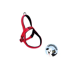 Kong Arnes Norwegian Large Rojo