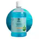 Jabon Liquido Antibacterial Cuerpo Manos Piel Ecologico Biodegradable X 1 Litro