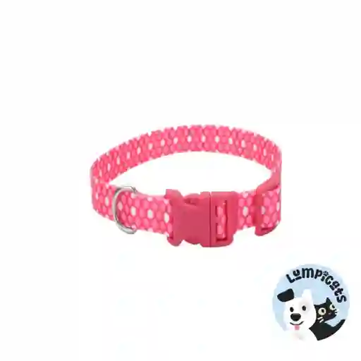 Coastal Perro Styles Polka Rosado Collar Medium 3/4"