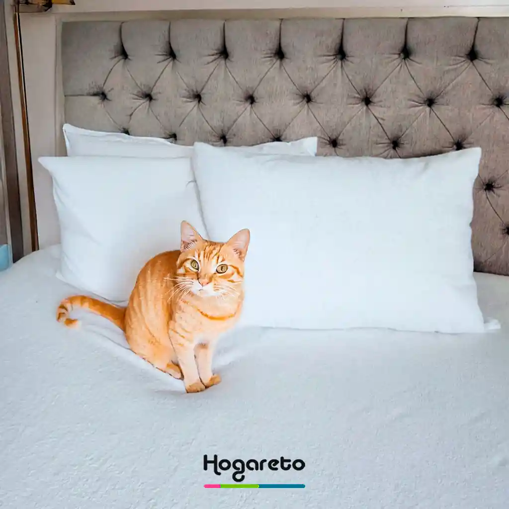 Protector Colchón Impermeable Blanco Cama Doble 140x190cm