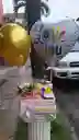 Desayuno Sorpresa 2353