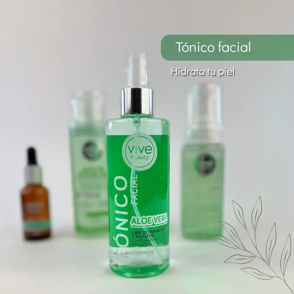 Kit Limpieza Facial Aloe Vera