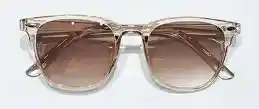 Lentes De Sol Clasicas Vintage Animal Miel Transparente