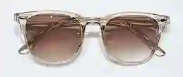 Lentes De Sol Clasicas Vintage Animal Miel Transparente