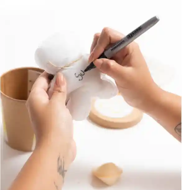 Año Viejo De Gratitud