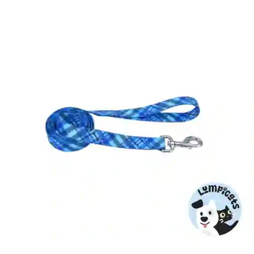 Coastal Perro Styles Huesos Azul Correa X-small 3/8"