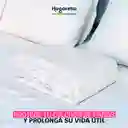 Protector De Colchón Cama Sencillo Impermeable + Funda Impermeable