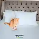 Protector De Colchón Cama Doble Impermeable + 2 Fundas Impermeables