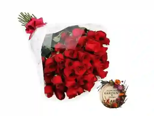 Rosas Rojas 36 Razones Para Amarte