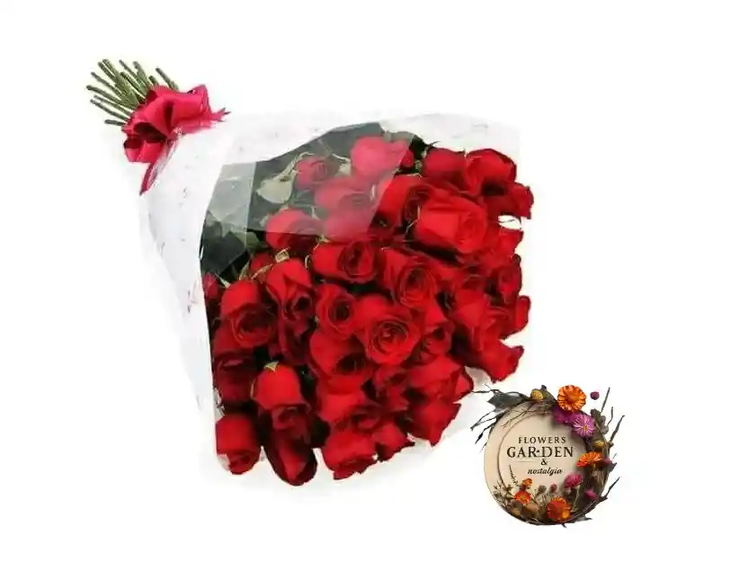 Rosas Rojas 36 Razones Para Amarte