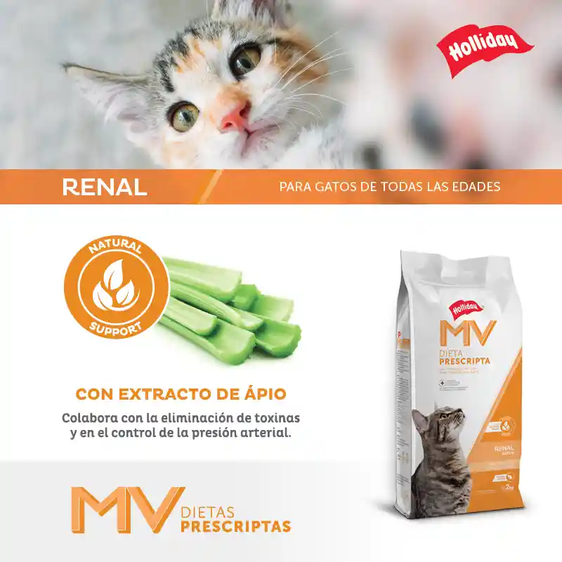 Alimento Renal Gatos 2 Kg Renal Cat 2 Kg Holliday Cuidado Renal Gatos 2 Kg