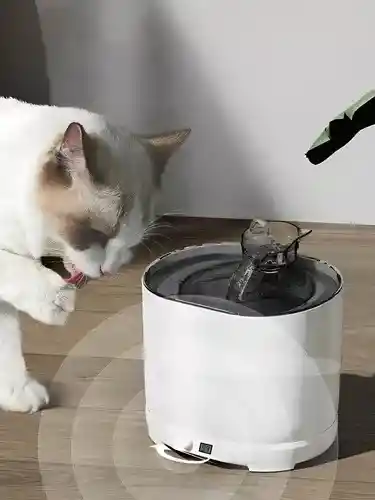 Fuente De Agua Para Gatos Con Sensor