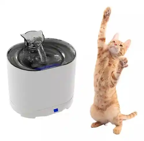 Fuente De Agua Para Gatos Con Sensor