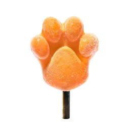 Paleta Artesanal Para Perro - Zanahoria