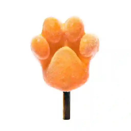 Paleta Artesanal Para Perro - Zanahoria